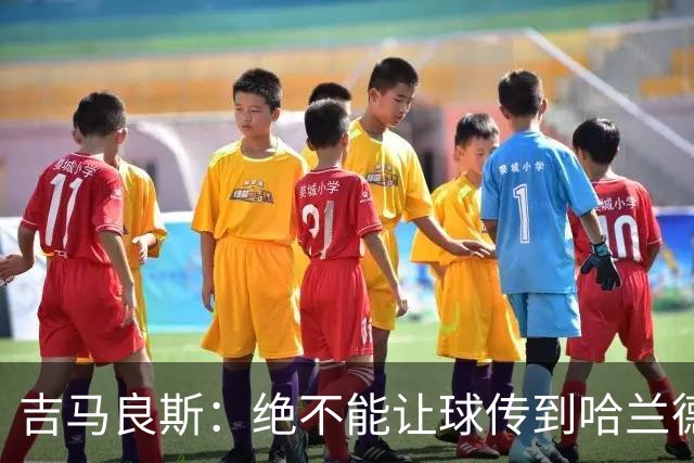 吉马良斯：绝不能让球传到哈兰德脚下，希望对位厄德高时能占上风